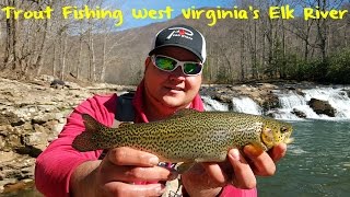 Trout Fishing West Virginias Elk River [upl. by Aierbma40]