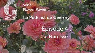 Le podcast de Giverny épisode 4  Exposition quotFlower Powerquot [upl. by Ozner]