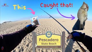 Pescadero State Beach Surfperch Fishing Fall 2022 [upl. by Adaurd]