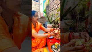 Tulsi Rani ka Vivah haigeet tulsivivah saligramadevthantulsipuja vivhageet trendingshorts [upl. by Ahseya]