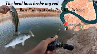 The local Bass Broke my Rod  Bass Fishing at Lake Powell in Arizona [upl. by Annibo586]