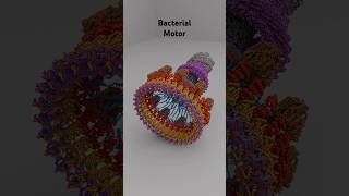 Bacterial flagellar motor animation science new [upl. by Hayne]