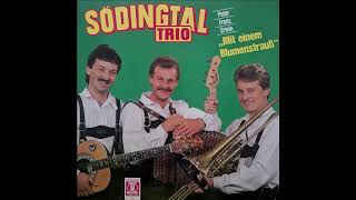 Södingtal Trio  01 Flott Und Zünftig [upl. by Wildee]