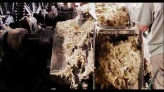 Distillerie Longueteau Documentaire [upl. by Anoit]