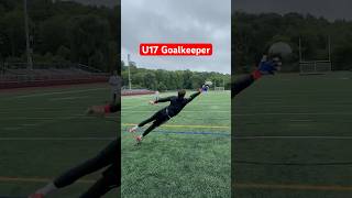 Youth Goalkeeper Training 🔥 goalkeeper goalkeepertraining [upl. by Ahsille]