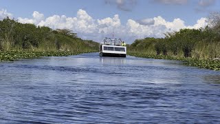 AIRBOAT ride at Everglades Holiday Park  MIAMI FLORIDA  2024 4k HDR [upl. by Olgnaed683]