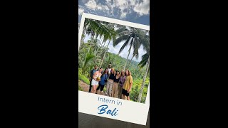 Intern in Bali [upl. by Trammel]