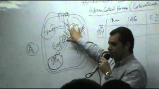 DrAhmed Abd ElRahman  Hormones 4  TopicCorticosteroids  Part 2 [upl. by Serra912]