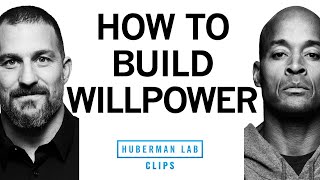 How to Build Willpower  David Goggins amp Dr Andrew Huberman [upl. by Attennhoj]