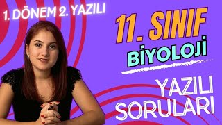 GÜNCEL 11 SINIF BİYOLOJİ 1 DÖNEM 2 YAZILIYA HAZIRLIK  PDF [upl. by Are196]