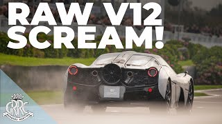 PURE V12 SOUND  Gordon Murray T50 Fancar screams round Goodwood  78MM [upl. by Ahsiekrats]