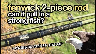 Fenwick World Class Spinning Rod Review [upl. by Lyman]