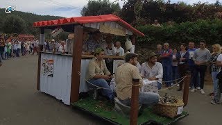 Carrinhos de Rolamentos  Nossa Sra dos Caminhos 2017 [upl. by Yramliw966]