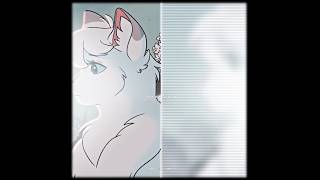 Snowfur and Thistleclaw 🥀🕊️warriorcats viralvideo fyp newvideo snowfur thistleclaw [upl. by Bruce]