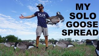 I SET 20 Dozen Decoys By MYSELF How to Set Goose Decoy Spreads [upl. by Aniluap]