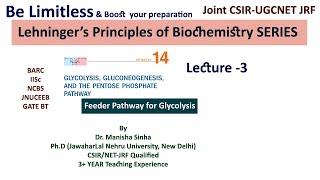 Feeder Pathways for Glycolysis Lehningers principles of Biochemistry Dr Manisha Sinha [upl. by Weiss661]