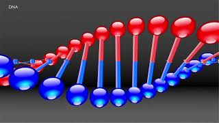 Forensic Science  41 DNA Introduction [upl. by Attenoj]