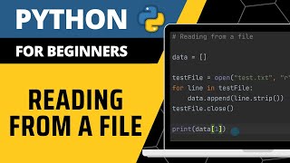 Python For Beginners  Reading From A File Explained [upl. by Zechariah374]