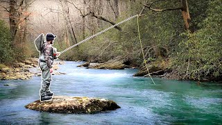 Fly Fishing South Carolina’s BEST Trout Stream [upl. by Atiuqrahc]