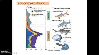 la construction de léchelle des temps géologiques [upl. by Hocker341]