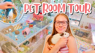 PET ROOM TOUR  MEET MY GUINEA PIGS 💕🐽 [upl. by Ibrad291]