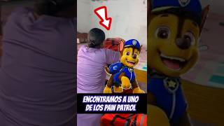 Encontramos a uno de los paw patrol 😱😱 [upl. by Deckert]