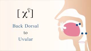 χˁ  unvoiced pharyngealized dorsal uvular non sibilant fricative [upl. by Adnawal]