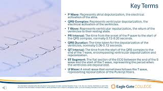 ECG Waveforms [upl. by Lednew944]