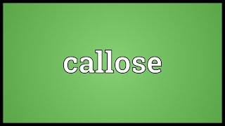 Callose Meaning [upl. by Akenot]