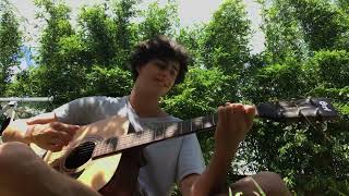 Stick Season  Noah Kahan Guitar Cover by Luca [upl. by Cassie]