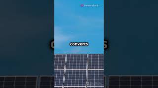 Discover the SHOCKING Truth About Solar Panels Generating Electricity solarpanels [upl. by Aicela]