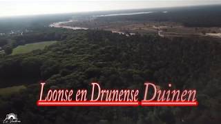 mtb trail Loonse en Drunense duinen [upl. by Lombardy]