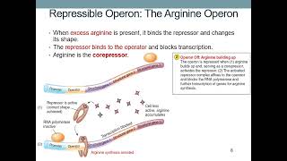 Gene Regulation [upl. by Adnomar]