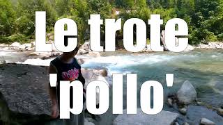 Le trote pollo [upl. by Enerod]