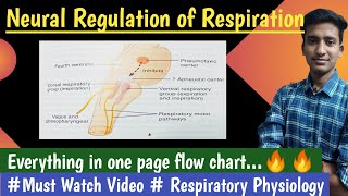 Neural Regulation of Respiration Respiratory Physio hindi Ashish Agrawal [upl. by Mcclelland]