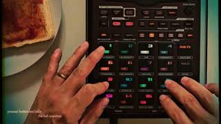 Lofi Institute  Peanut Butter and Jelly Roland SP404 performance [upl. by Sokil]