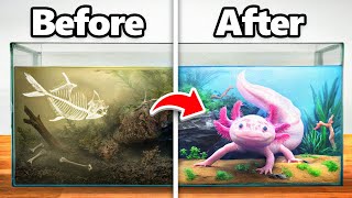 I Transformed an Abandoned Axolotl’s Home [upl. by Lleynod]