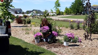 Adding Phlox Astilbe and Calycanthus to the Garden 🌿🌸  Garden Answer [upl. by Yelsha]