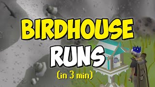 Birdhouse Runs in 3 minutes Quick Guide [upl. by Giordano587]