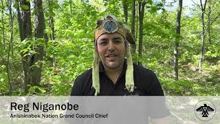 Grand Council Chief Reg Niganobe talks about the importance of Anishinaabe Giizhigad on June 6 [upl. by Lina395]