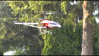 GT8006 and HeliMax Novus 200 flight practice [upl. by Petromilli]