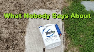 Does Roundup Glyphosate Kill Grass Permanently [upl. by Patton]