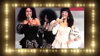 The Pointer Sisters  Jump For My Love 1984 [upl. by Alodi420]