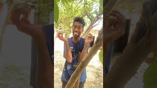 Rajkumar dehati funny comedy fun jokes explore acting trending ytshort expression 😂😂😂 [upl. by Yeslek]