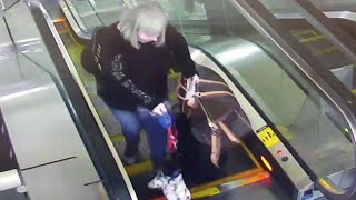 Dog Owner Panics After Pup’s Paw Gets Caught in Escalator [upl. by Oletta]