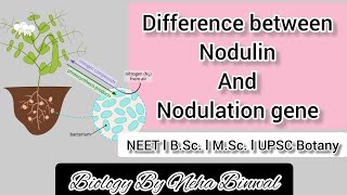 Difference between Nodulin and Nodulation gene l Biology By Neha Binwal l NEET l Bsc l MSc l UPSC [upl. by Ohcirej]