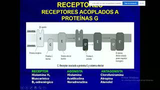 Farmacología  Farmacodinamia y Farmacogenética 11 [upl. by Terr]