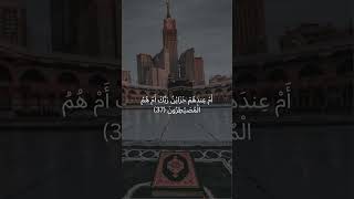 أَمْ خُلِقُوا مِنْ غَيْرِ شَيْءٍ  سورة الطور قرآنكريم اكسبلور إسلاميات راحةنفسية [upl. by Belsky]