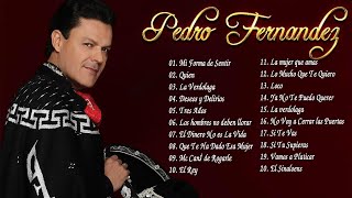 Pedro Fernandez Sus Grandes Exitos Top 20 Mejores Canciones De Pedro Fernandez GRANDES EXITOS [upl. by Cowley396]