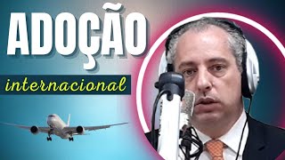 Adoção Internacional passo a passo [upl. by Anawt300]